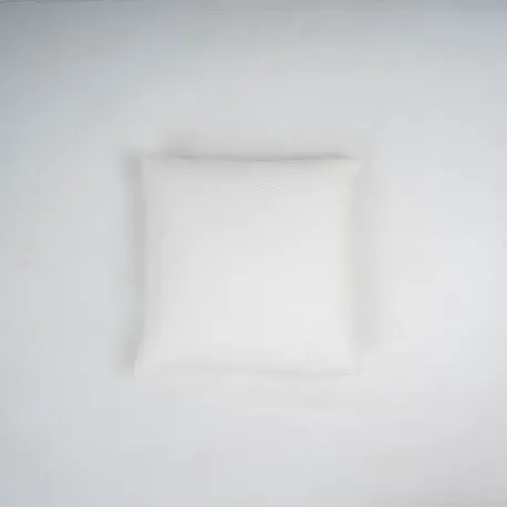 Almofada quadrada de veludo de algodão Hungria lisa 50x50 - capa + enchimento almofadas-decorativas