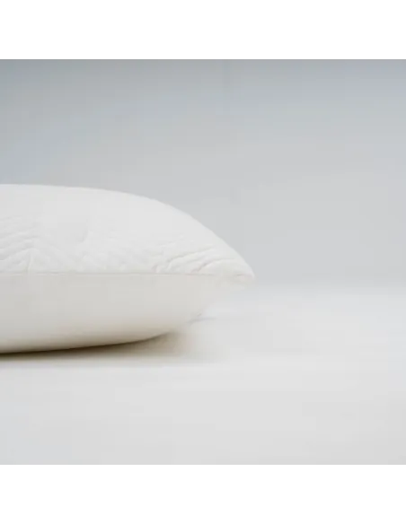 Almofada quadrada de veludo de algodão Hungria lisa 50x50 - capa + enchimento almofadas-decorativas